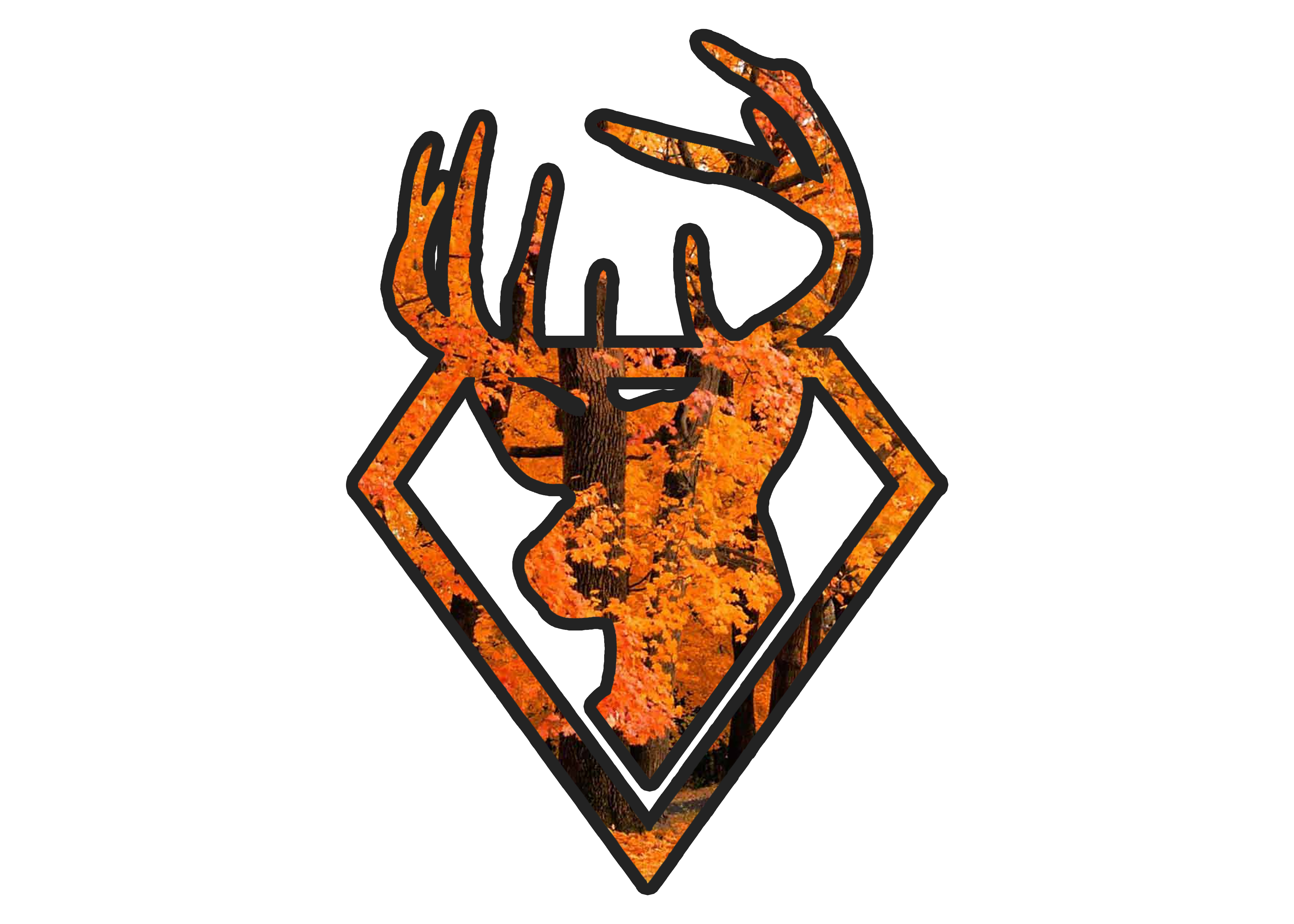 Papa team image